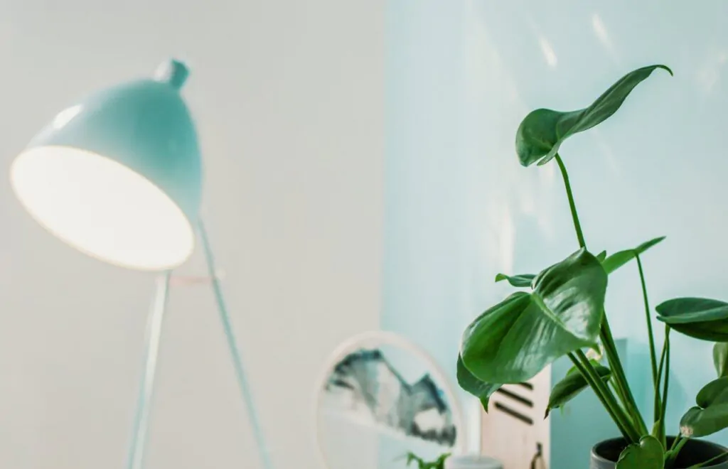 Marketing Digital 2 pexels shottrotter 2249960